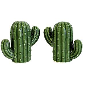 Cactus Ceramic Salt & Pepper Shaker Set Hand-Paint Durable Decorative Kitchenwar